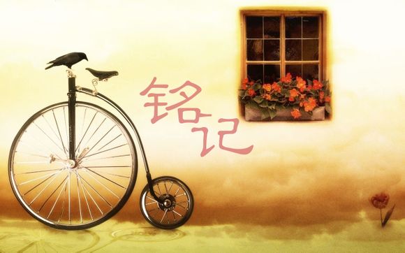 从哪里可以充值公交卡