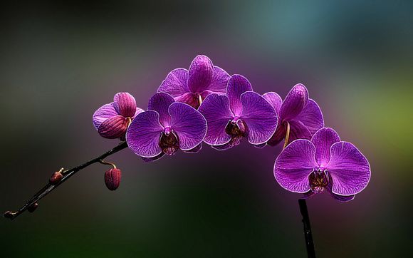 女士什么牌子的手表性价比高 质量好