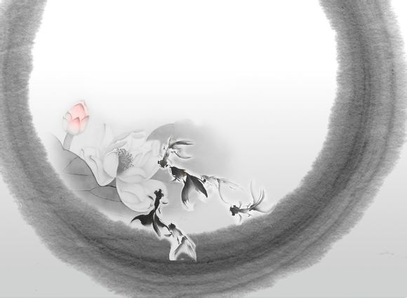 怎样修改公众号的名称