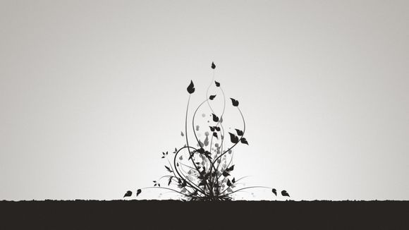 什么是学籍册